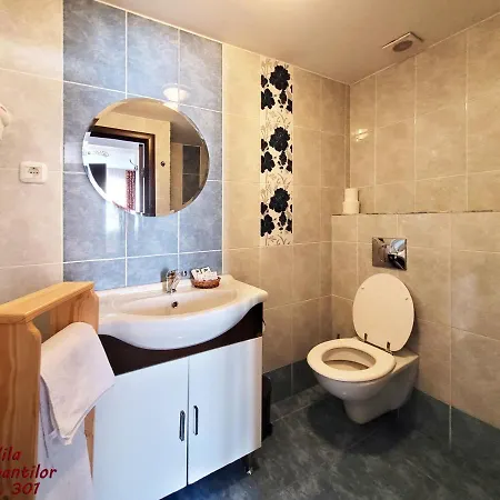 Hotel Dorobantilor 4*