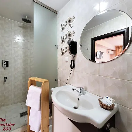 Dorobantilor 4*