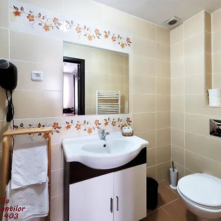 Dorobantilor 4*